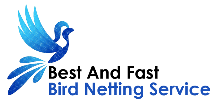 Best And Fast Bird Netting Service in Jaipur